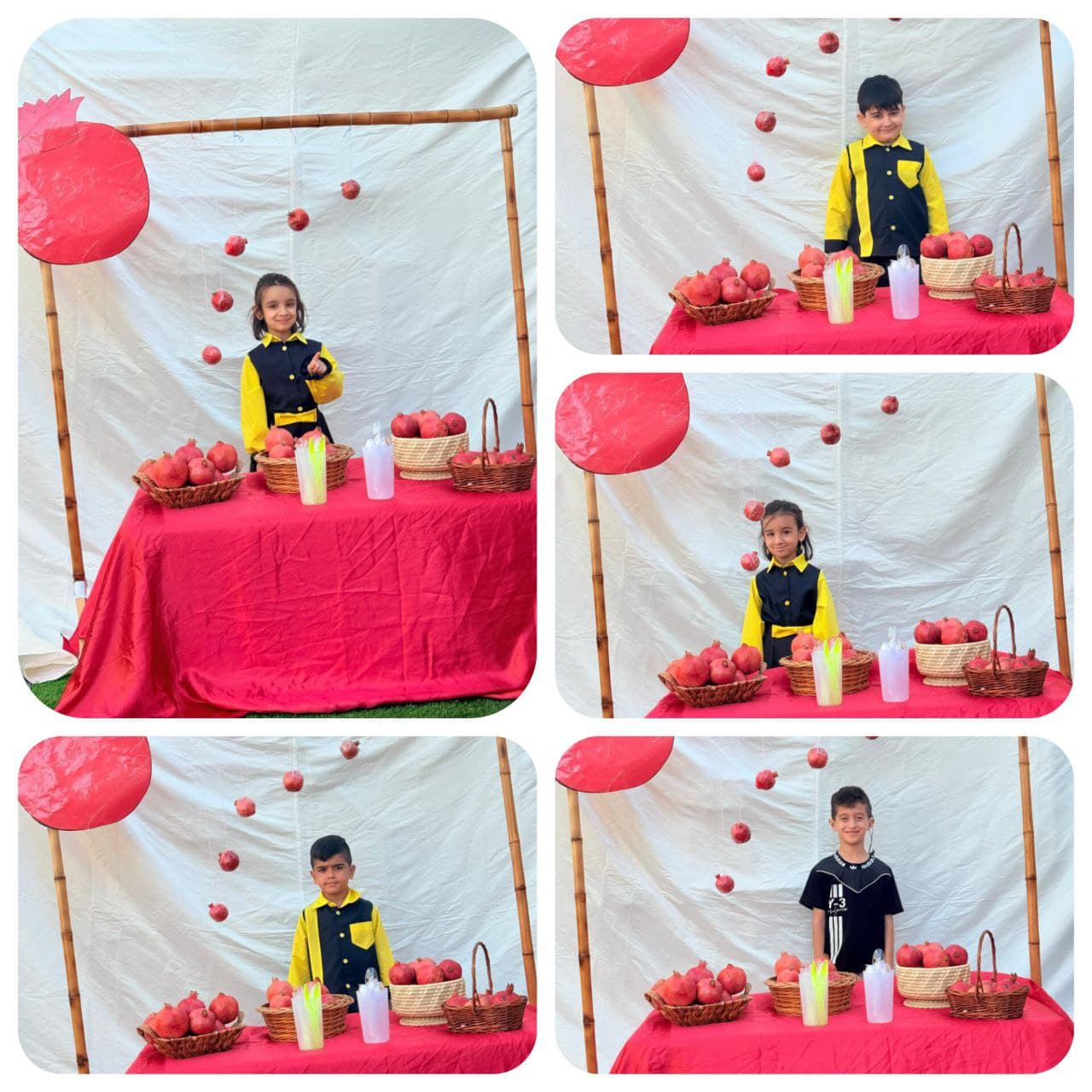 فستیوال انار